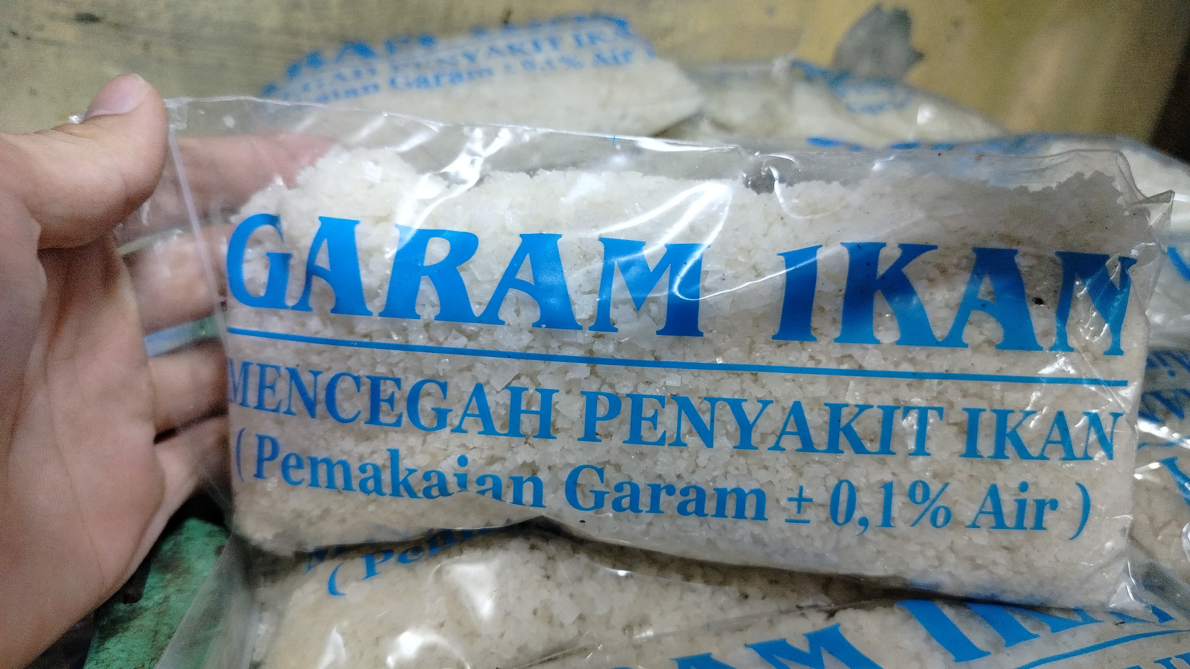 Garam ikan